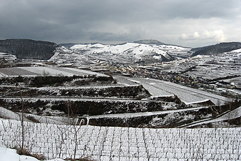 Winter in the Kaiserstuhl hills