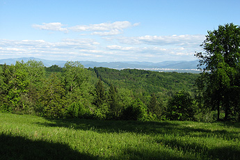 View in the direction of Freiburg